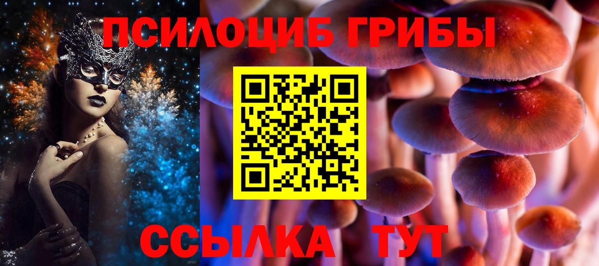 Псилоцибиновые грибы MAGIC MUSHROOMS  Псилоцибиновые грибы мухоморы  Вход с VPN  Янаул 
